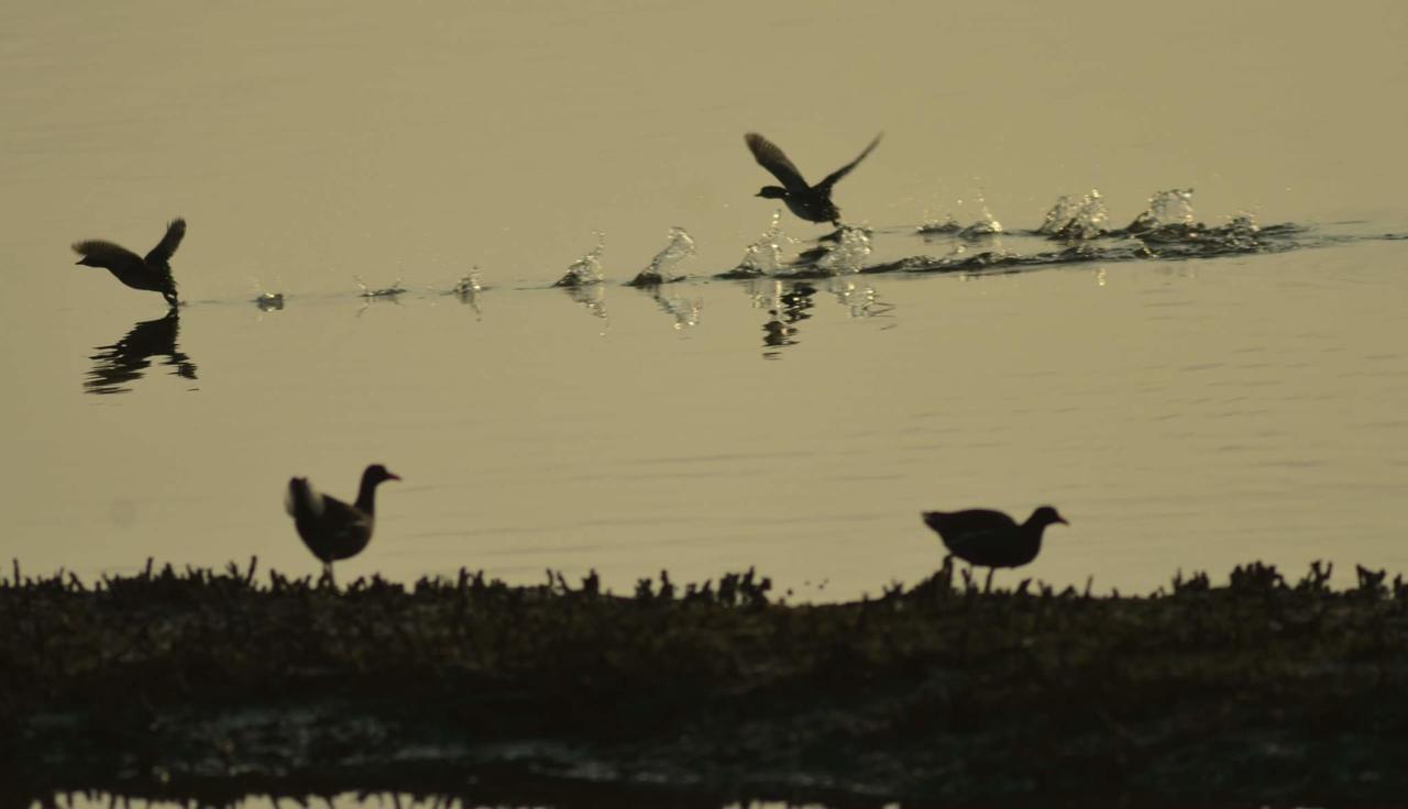 Water Bird Family Leilighet Toucheng Eksteriør bilde